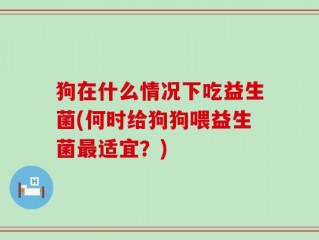 狗在什么情况下吃益生菌(何时给狗狗喂益生菌最适宜？)