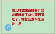 婴儿吃益生菌睡着？幼犬呕吐吃了益生菌药又吐了，睡觉还发抖怎么办，急