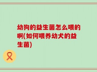 幼狗的益生菌怎么喂的啊(如何喂养幼犬的益生菌)