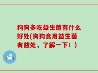 狗狗多吃益生菌有什么好处(狗狗食用益生菌有益处，了解一下！)