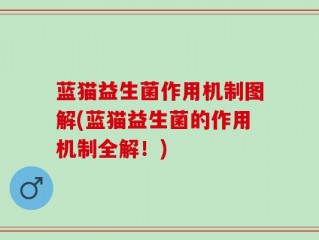 蓝猫益生菌作用机制图解(蓝猫益生菌的作用机制全解！)