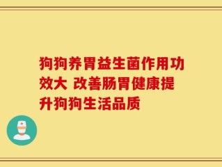狗狗养胃益生菌作用功效大 改善肠胃健康提升狗狗生活品质