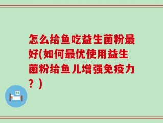 怎么给鱼吃益生菌粉最好(如何最优使用益生菌粉给鱼儿增强免疫力？)