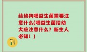 给幼狗喂益生菌需要注意什么(喂益生菌给幼犬应注意什么？新主人必知！)
