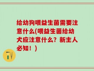 给幼狗喂益生菌需要注意什么(喂益生菌给幼犬应注意什么？新主人必知！)