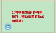 公鸡喂益生菌(养鸡新技巧：喂益生菌有助公鸡健康)