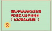 猫肚子咕咕响吃益生菌吗(喵星人肚子咕咕叫？试试喂食益生菌！)