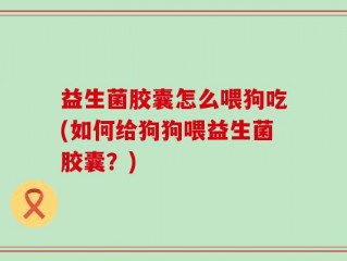 益生菌胶囊怎么喂狗吃(如何给狗狗喂益生菌胶囊？)