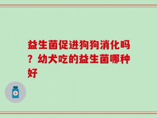 益生菌促进狗狗消化吗？幼犬吃的益生菌哪种好