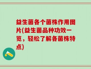 益生菌各个菌株作用图片(益生菌品种功效一览，轻松了解各菌株特点)