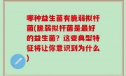 哪种益生菌有脆弱拟杆菌(脆弱拟杆菌是最好的益生菌？这些典型特征将让你意识到为什么)