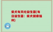 柴犬每天吃益生菌(每日益生菌：柴犬健康福利)