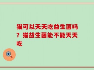 猫可以天天吃益生菌吗？猫益生菌能不能天天吃
