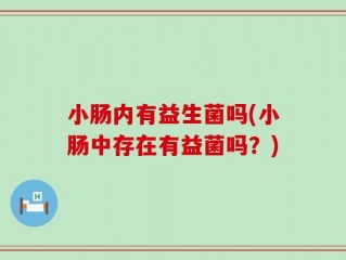 小肠内有益生菌吗(小肠中存在有益菌吗？)