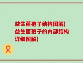 益生菌孢子结构图解(益生菌孢子的内部结构详细图解)