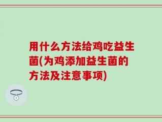 用什么方法给鸡吃益生菌(为鸡添加益生菌的方法及注意事项)