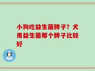 小狗吃益生菌牌子？犬用益生菌那个牌子比较好