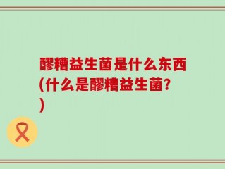 醪糟益生菌是什么东西(什么是醪糟益生菌？)