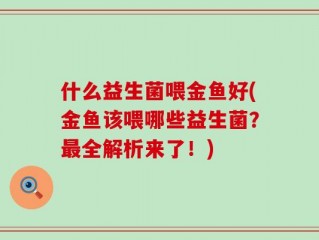 什么益生菌喂金鱼好(金鱼该喂哪些益生菌？最全解析来了！)