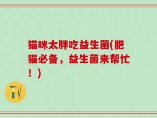 猫咪太胖吃益生菌(肥猫必备，益生菌来帮忙！)