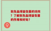 敖东晶球益生菌的功效？了解敖东晶球益生菌的作用和好处？