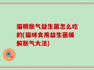 猫粮胀气益生菌怎么吃的(猫咪食用益生菌缓解胀气大法)
