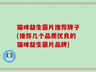 猫咪益生菌片推荐牌子(推荐几个品质优良的猫咪益生菌片品牌)
