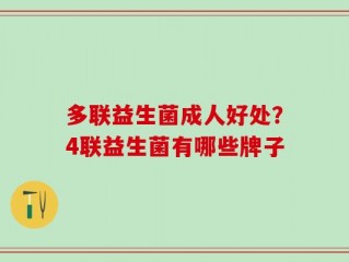 多联益生菌成人好处？4联益生菌有哪些牌子