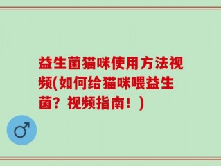 益生菌猫咪使用方法视频(如何给猫咪喂益生菌？视频指南！)