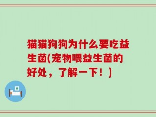 猫猫狗狗为什么要吃益生菌(宠物喂益生菌的好处，了解一下！)