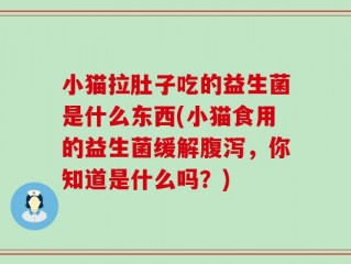 小猫拉肚子吃的益生菌是什么东西(小猫食用的益生菌缓解腹泻，你知道是什么吗？)