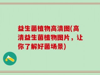 益生菌植物高清图(高清益生菌植物图片，让你了解好菌场景)