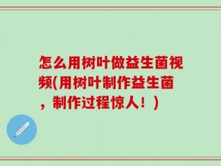 怎么用树叶做益生菌视频(用树叶制作益生菌，制作过程惊人！)