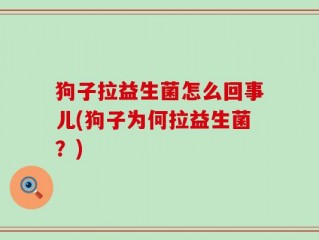 狗子拉益生菌怎么回事儿(狗子为何拉益生菌？)