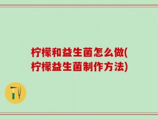 柠檬和益生菌怎么做(柠檬益生菌制作方法)
