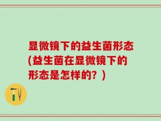 显微镜下的益生菌形态(益生菌在显微镜下的形态是怎样的？)