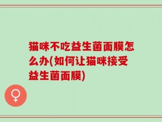 猫咪不吃益生菌面膜怎么办(如何让猫咪接受益生菌面膜)