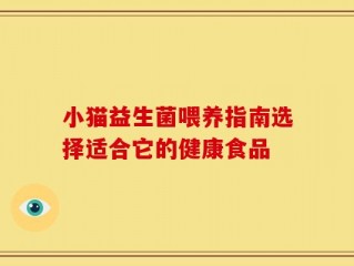 小猫益生菌喂养指南选择适合它的健康食品