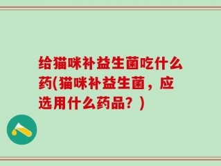 给猫咪补益生菌吃什么药(猫咪补益生菌，应选用什么药品？)