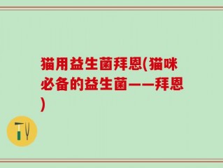 猫用益生菌拜恩(猫咪必备的益生菌——拜恩)