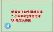 幼犬吃了益生菌吐白沫？小狗呕吐(白色泡沫状)是怎么原因