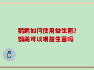 鹦鹉如何使用益生菌？鹦鹉可以喂益生菌吗