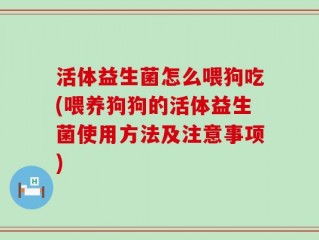 活体益生菌怎么喂狗吃(喂养狗狗的活体益生菌使用方法及注意事项)