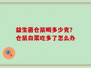 益生菌仓鼠喝多少克？仓鼠白菜吃多了怎么办
