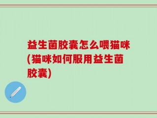 益生菌胶囊怎么喂猫咪(猫咪如何服用益生菌胶囊)
