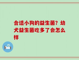 合适小狗的益生菌？幼犬益生菌吃多了会怎么样