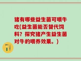 猪有哪些益生菌可喂牛吃(益生菌能否替代饲料？探究猪产生益生菌对牛的喂养效果。)