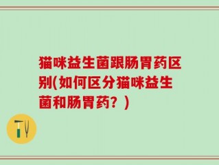 猫咪益生菌跟肠胃药区别(如何区分猫咪益生菌和肠胃药？)