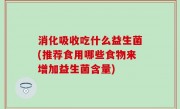 消化吸收吃什么益生菌(推荐食用哪些食物来增加益生菌含量)