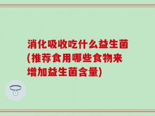 消化吸收吃什么益生菌(推荐食用哪些食物来增加益生菌含量)